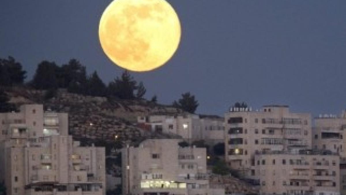 1371909011_388133_1372063896_album_normal