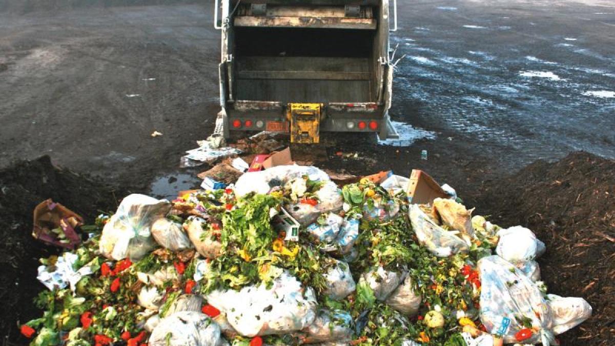 risipa_alimente_09354100