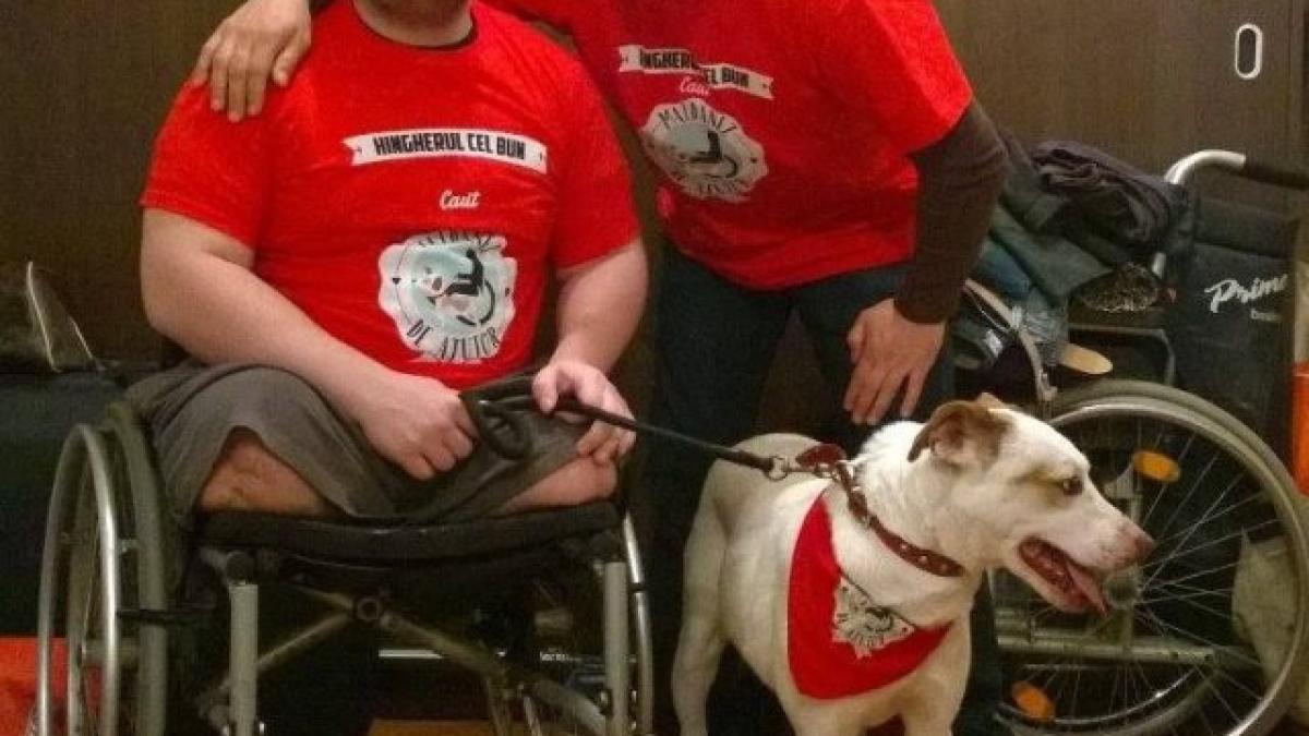 karma_si_mircea_24503600