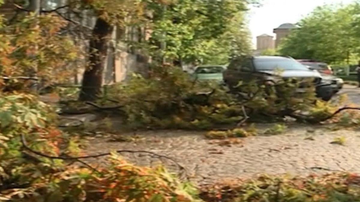 furtuna_dealul_mitropoliei_87267300