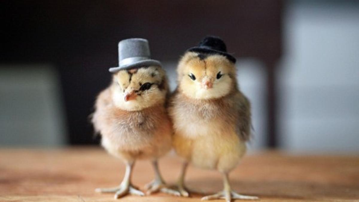 tumblr_n5yq09pfcl1qax99wo5_500_82897900