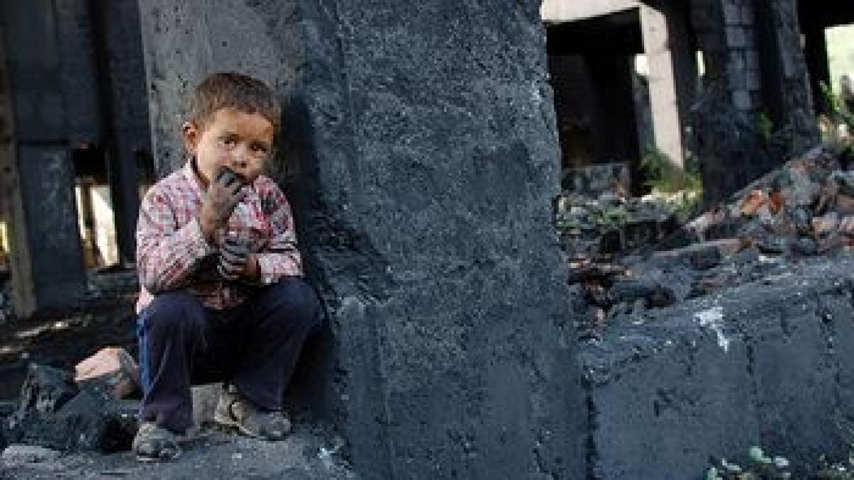 slide_203480_2919_42534800