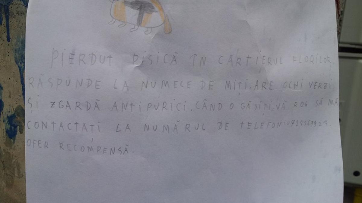 10423289_10152194453948977_2772817364794154969_n_17184000