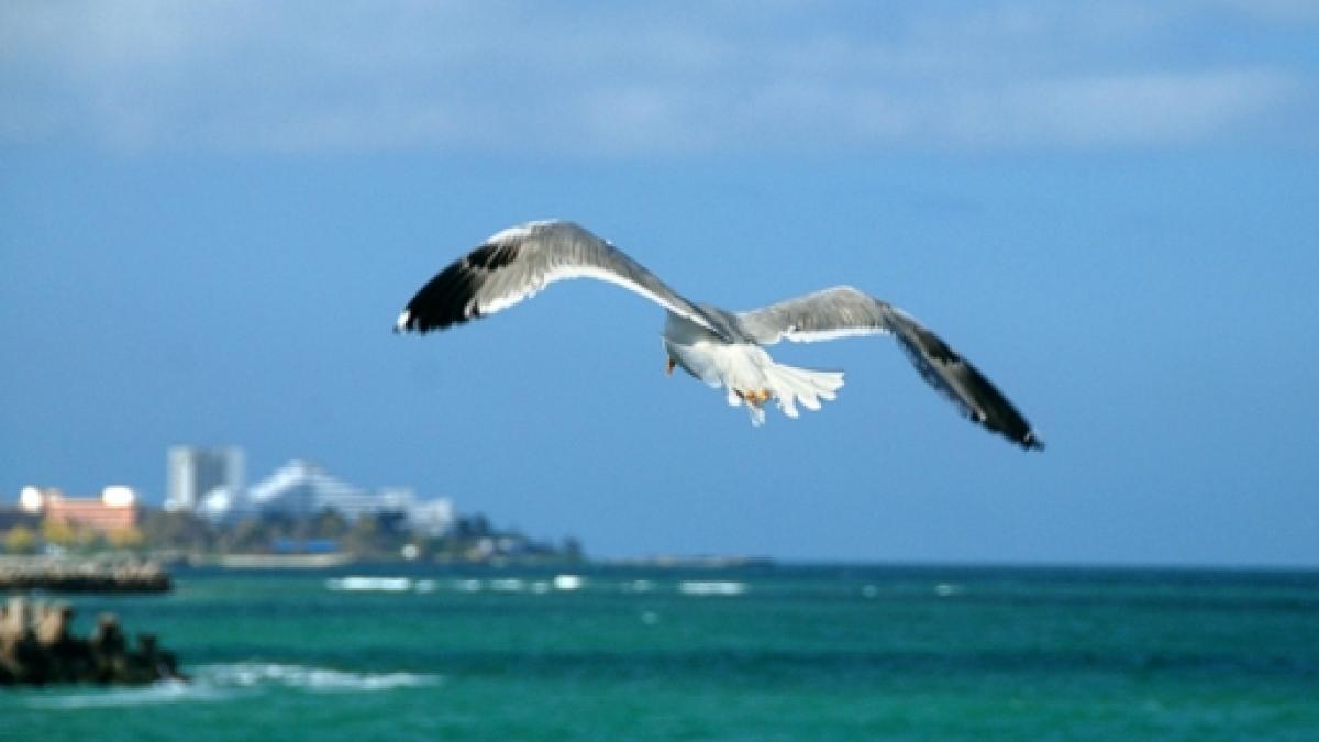 screen_shot_2014_06_21_at_1_25_22_pm_36541000