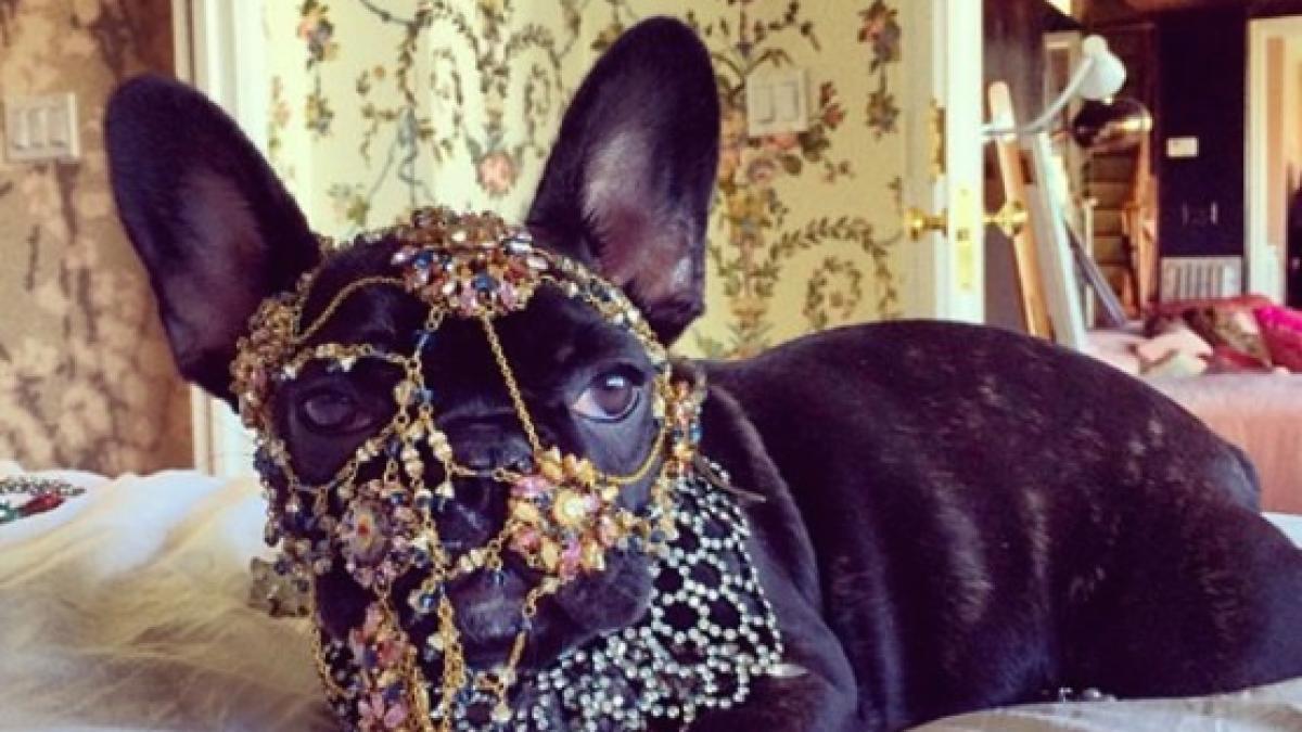 screen_shot_2014_06_22_at_12_54_50_62573300