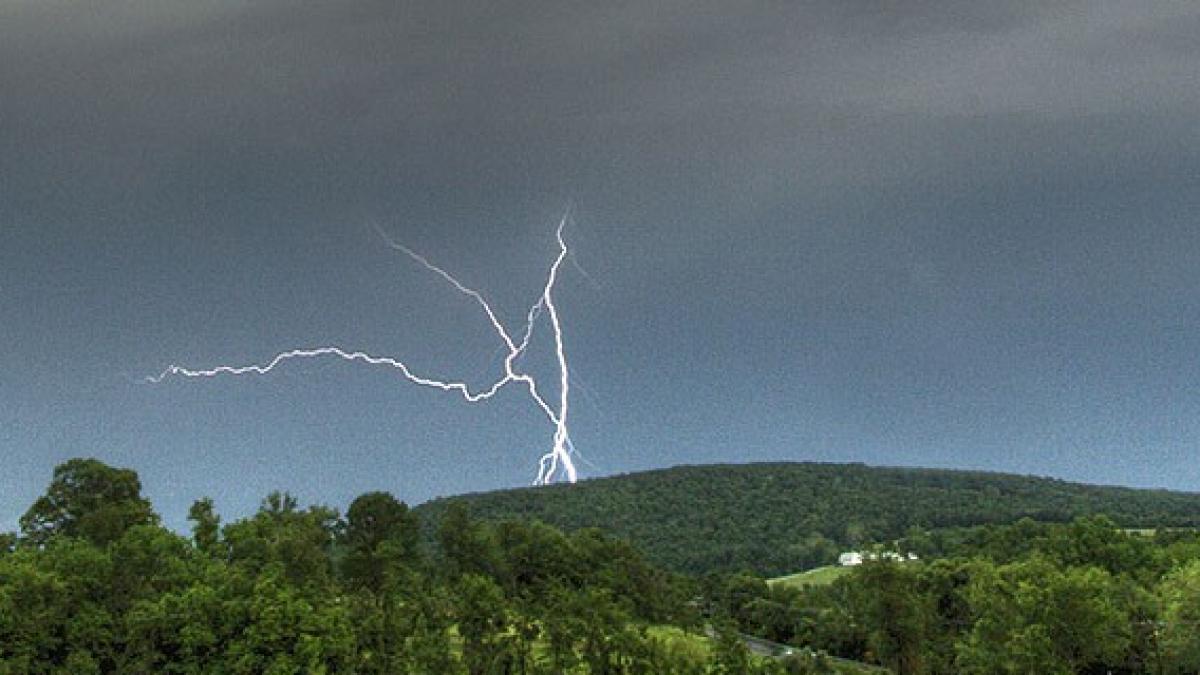 screen_shot_2014_06_24_at_12_56_35_pm_26340500