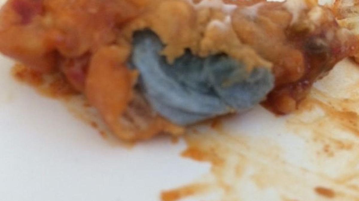 article_2670548_1f2491ac00000578_807_634x525_00036000