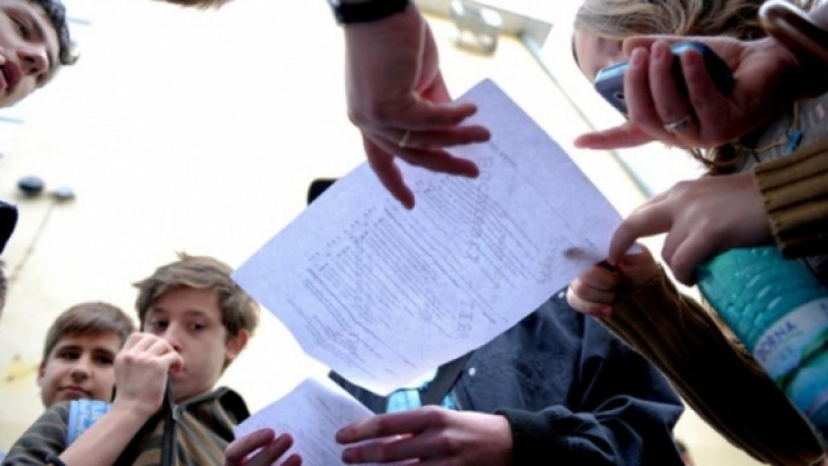 evaluarea_nationala_2013_cluj_60118200_68536900