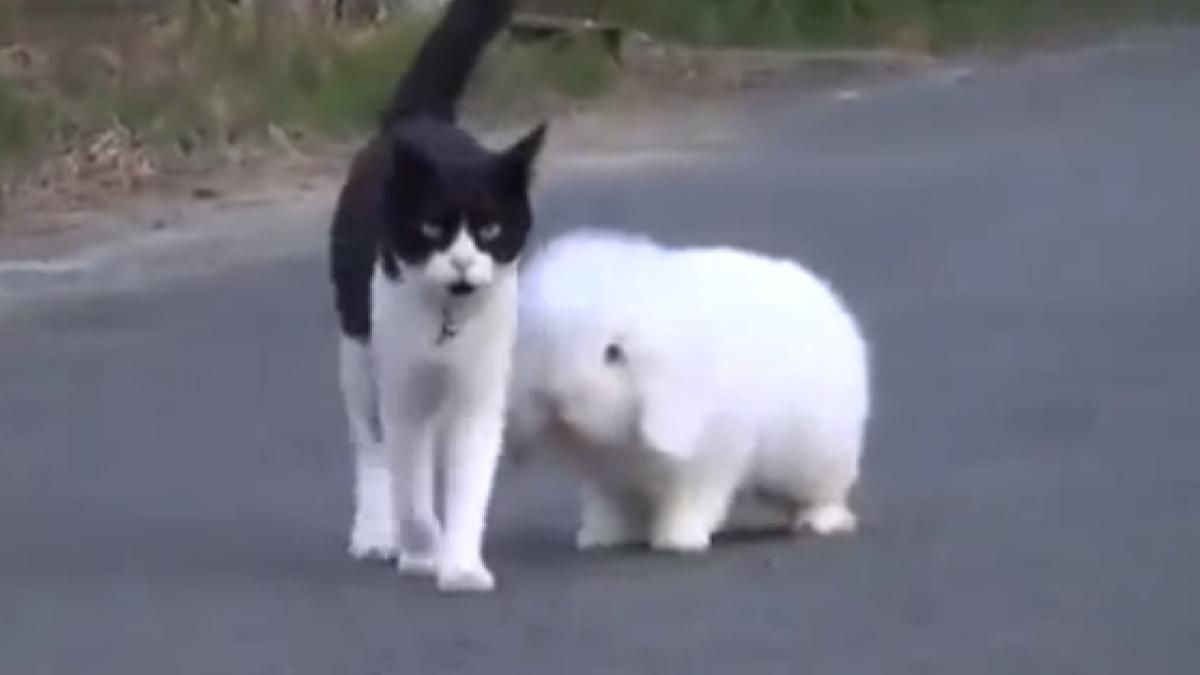 screen_shot_2014_06_28_at_10_33_10_pm_84698900