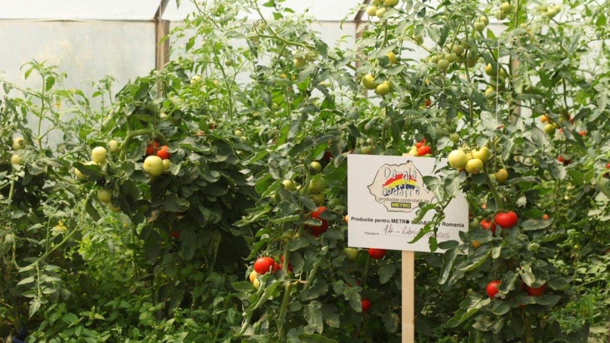 de_ale_noastre_2014_8_27225600