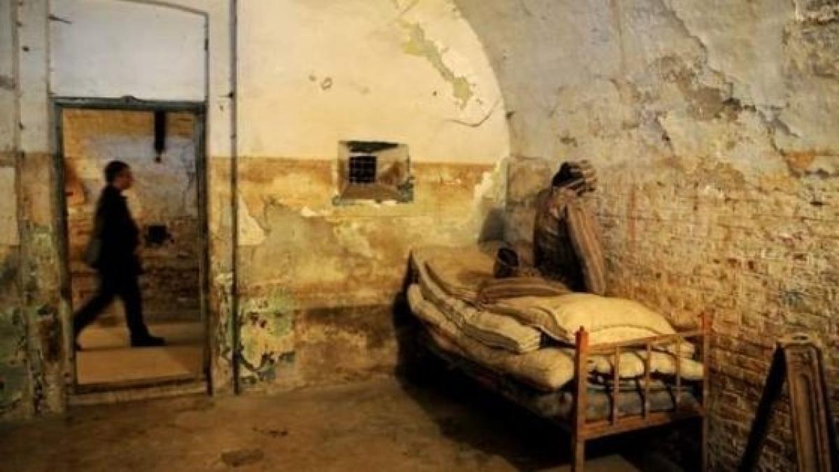 constantin_istrate_33006100