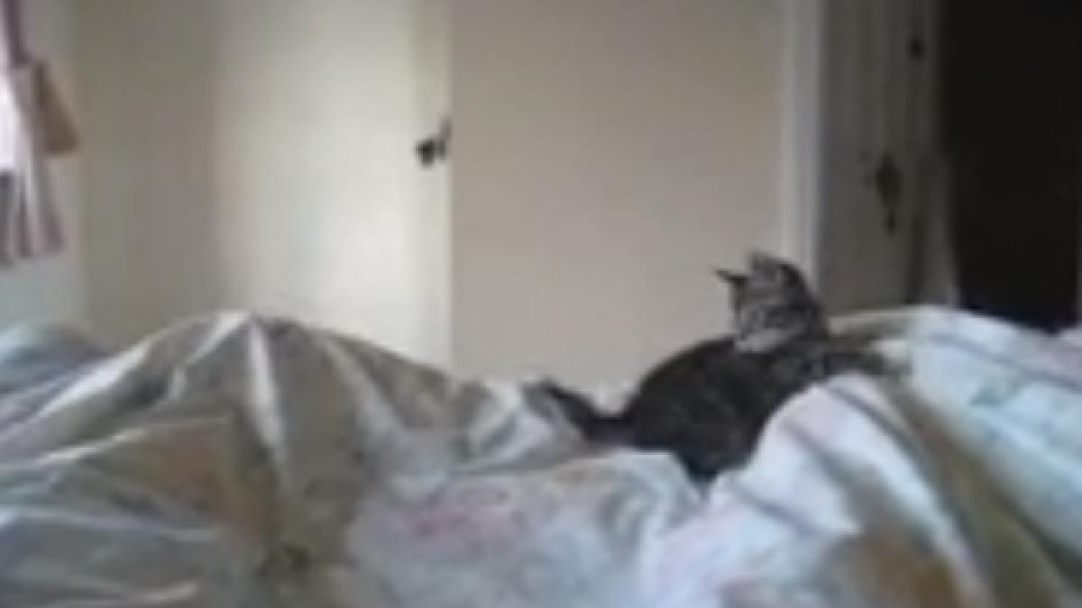 screen_shot_2014_07_09_at_4_30_20_pm_27788500