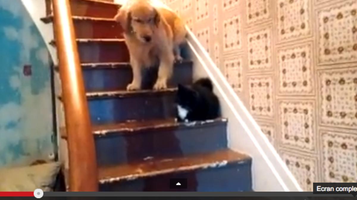 screen_shot_2014_07_10_at_9_32_37_pm_83327800