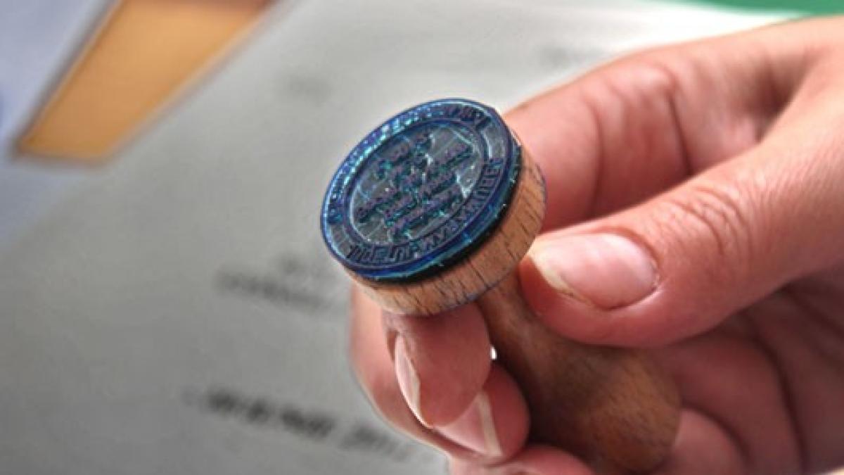 stampila_vot_alegeri_24028600