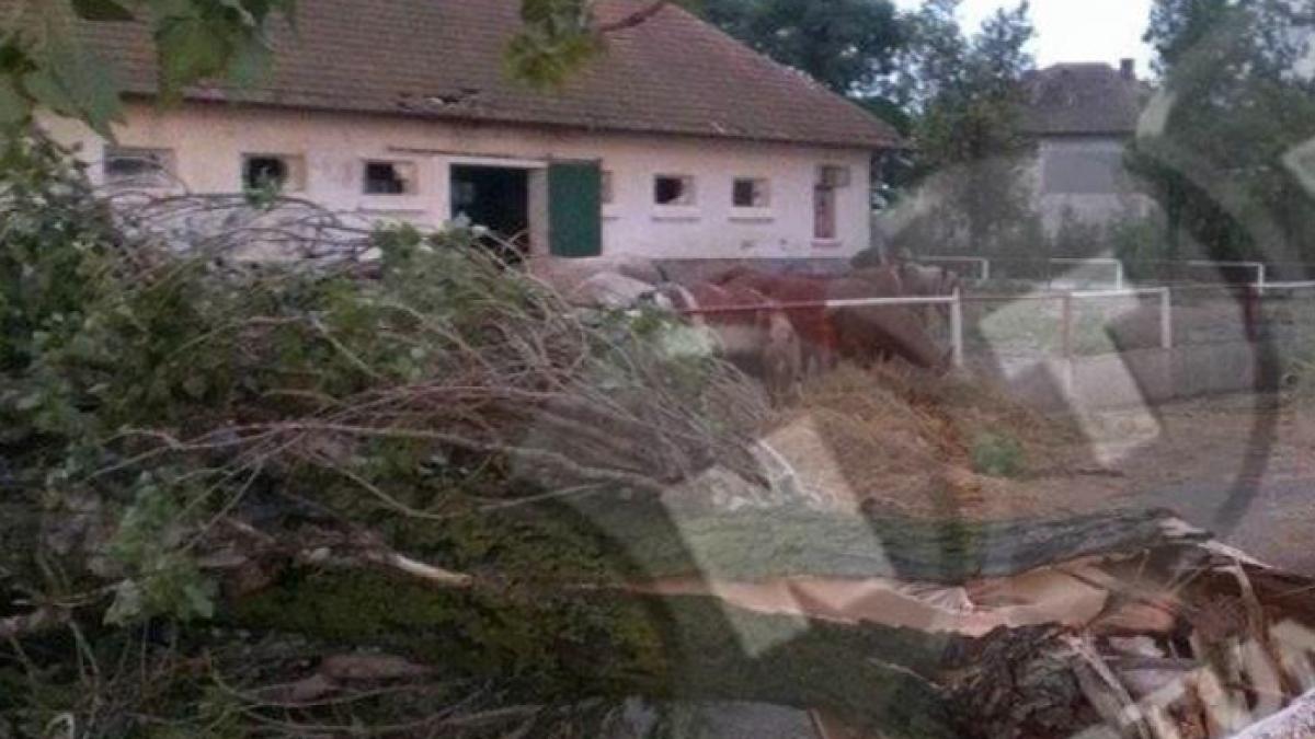 screen_shot_2014_07_11_at_11_47_56_pm_01873000