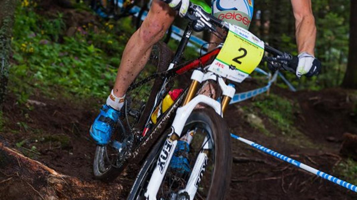 oviu_tudor_oprea3_79943900