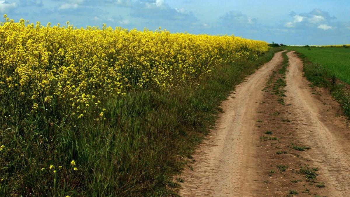 rapiprc-c8prc-9ba_59022400