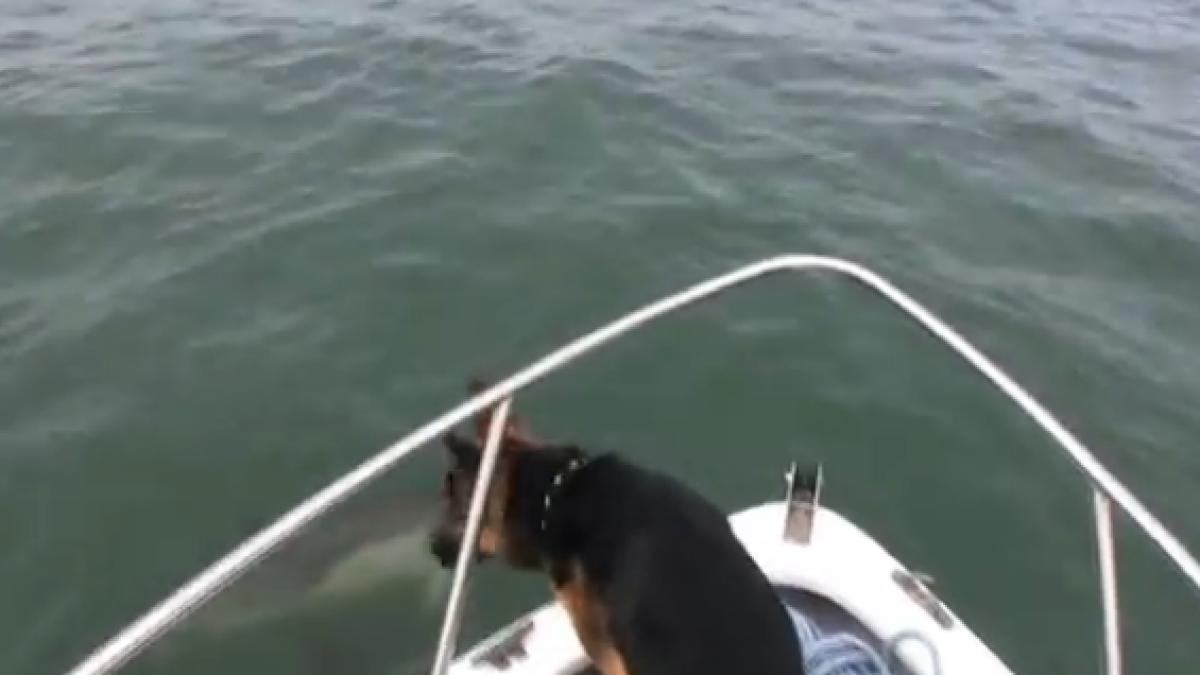 screen_shot_2014_07_16_at_11_31_41_am_53129700