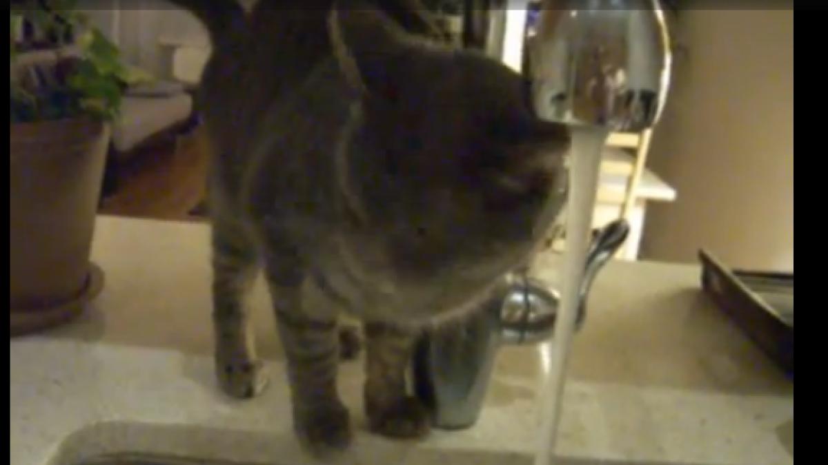 screen_shot_2014_07_18_at_1_58_31_pm_77622400