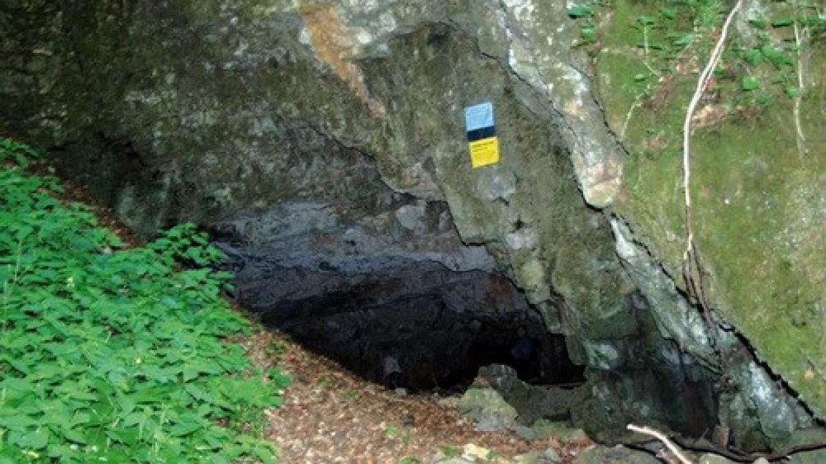 pestera_ciur_izbuc_55212200