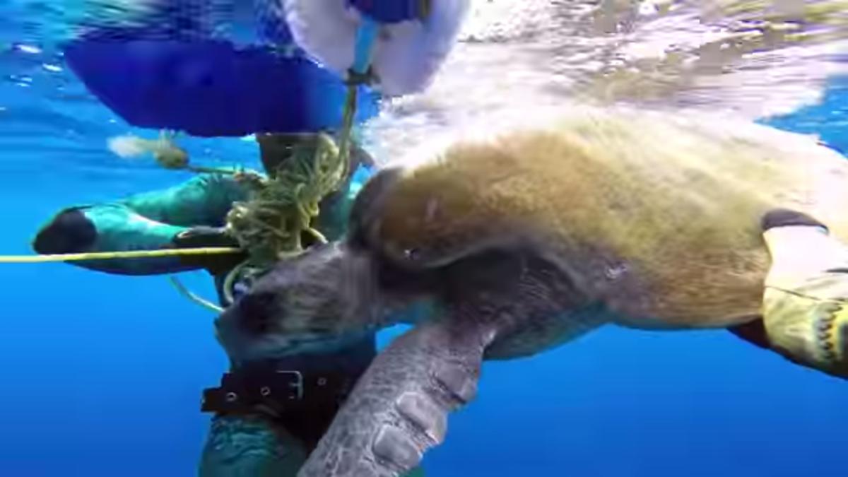 screen_shot_2014_07_21_at_17_10_24_35951600