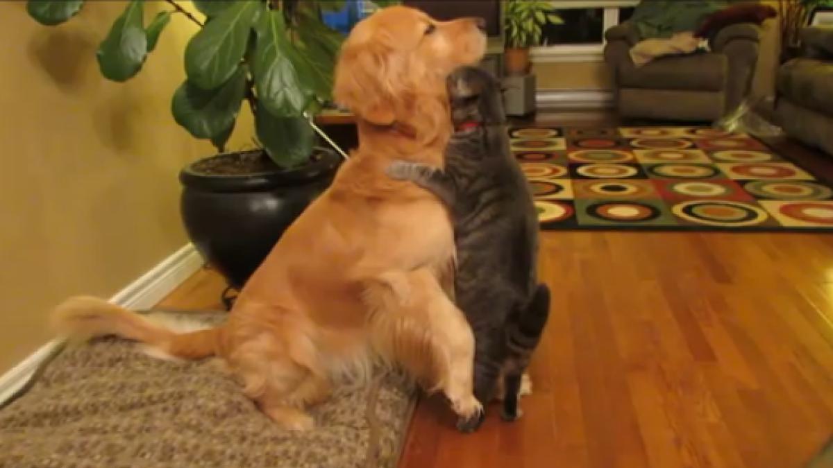 screen_shot_2014_07_21_at_8_41_39_pm_76420500