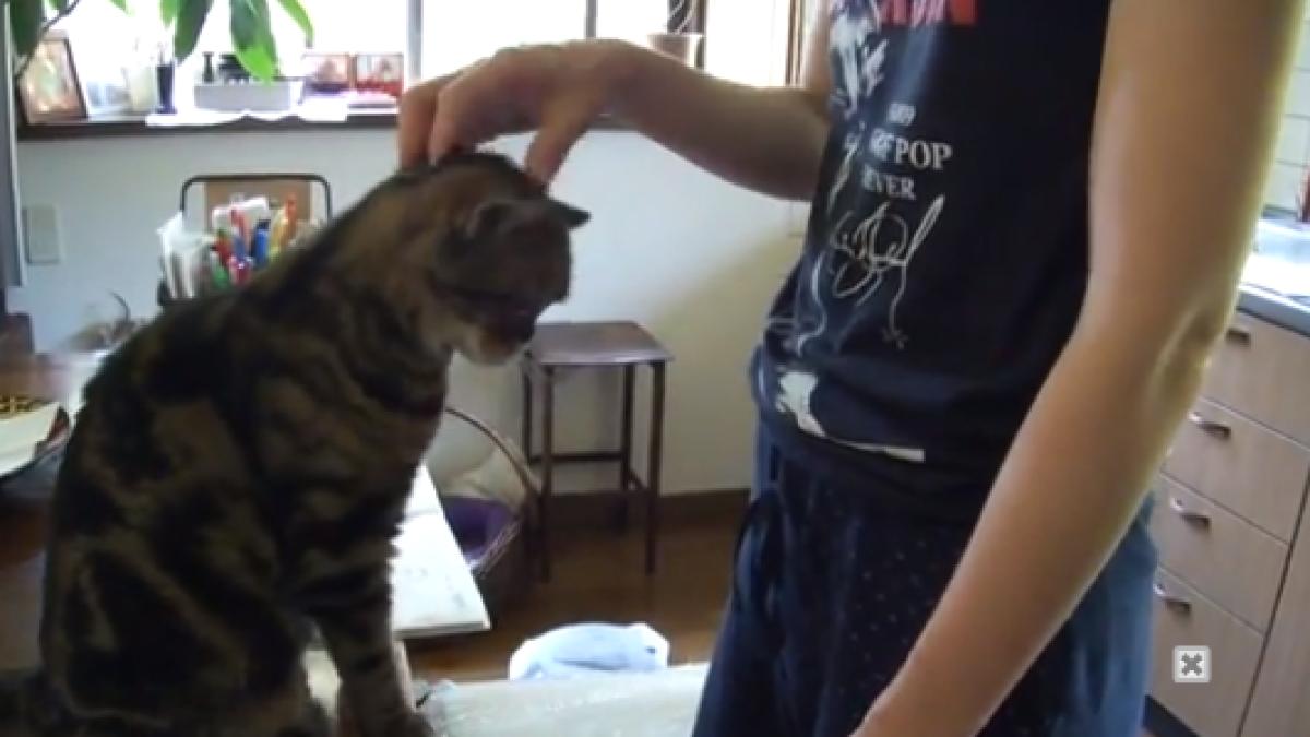 screen_shot_2014_07_25_at_11_11_03_pm_11281000