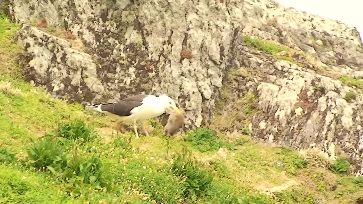 screen_shot_2014_07_28_at_16_50_11_42301400