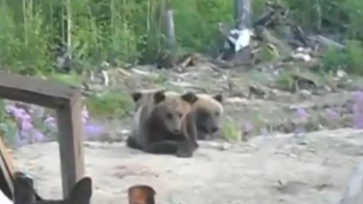 osa_n_640x640x80_92942500