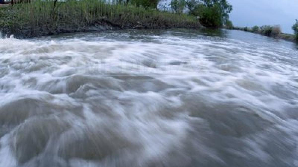 inundatii_raul_timis_adi_piclisan_38606200