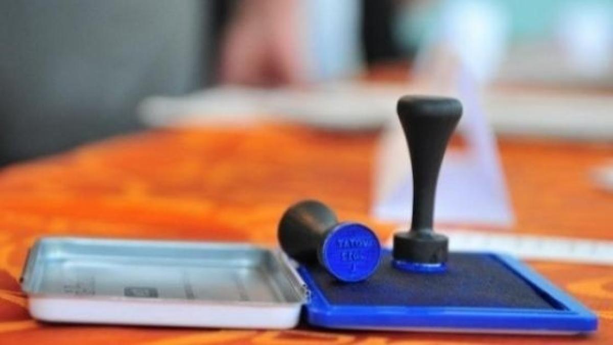 frauda_referendum_26981700