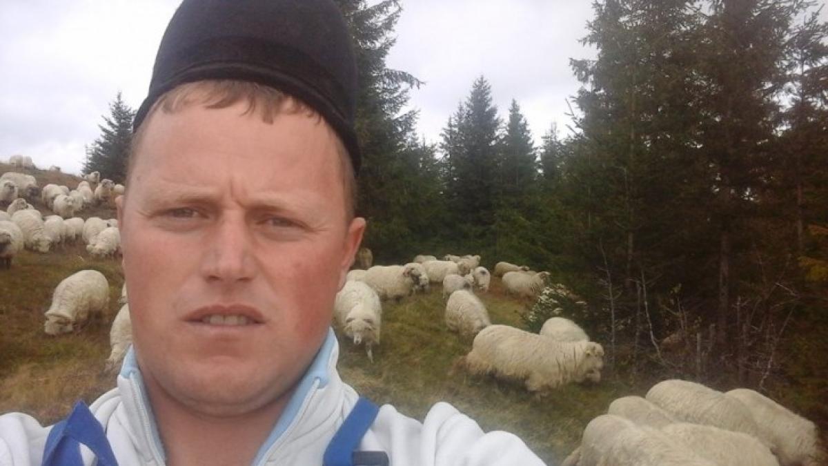 ghita_ciobanul_45676300