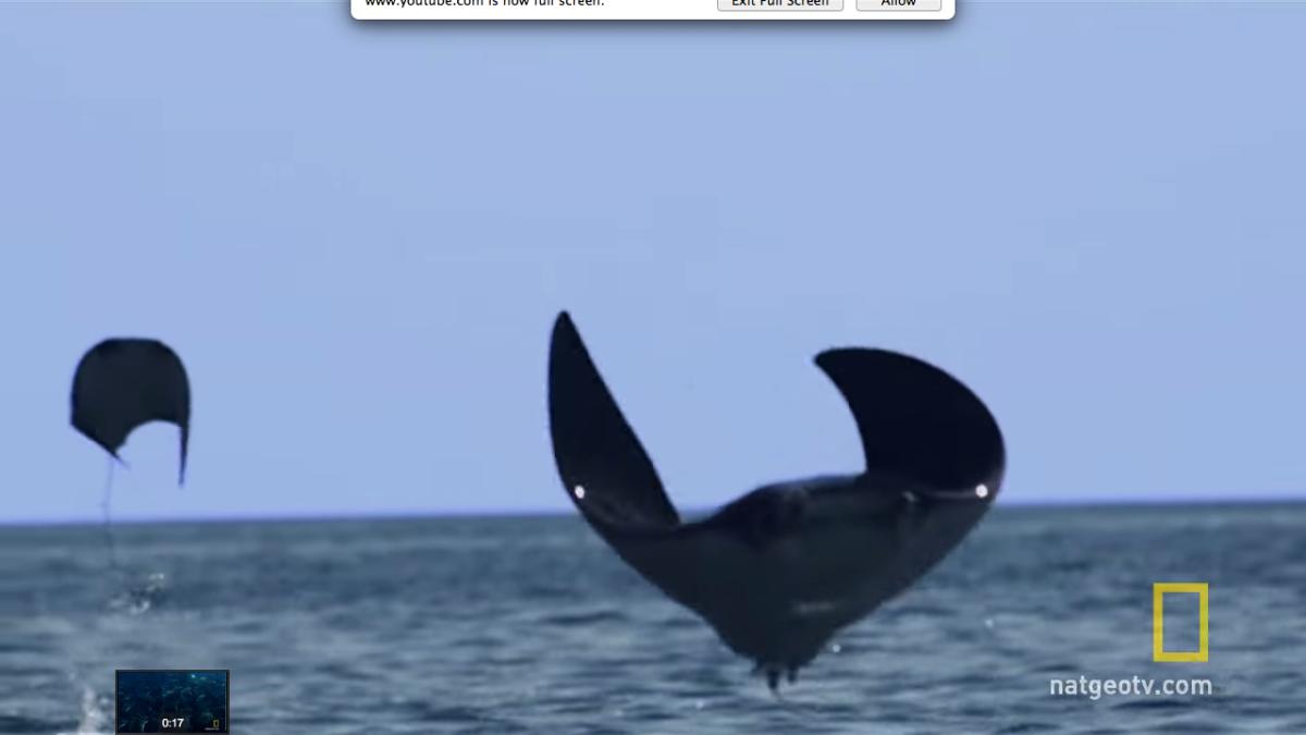 screen_shot_2014_08_04_at_2_45_54_pm_63262100