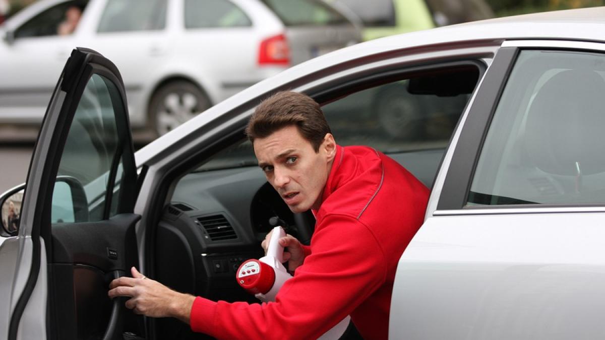 image_2010_11_9_8020351_70_mircea_badea_80410200