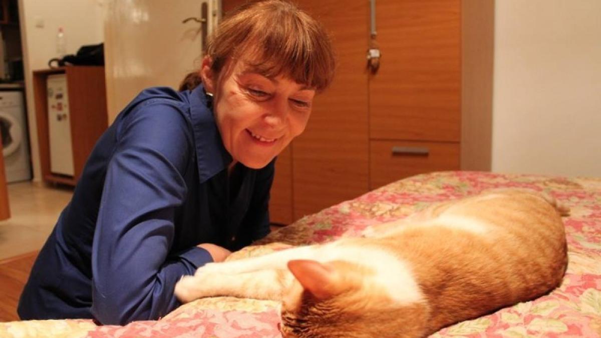 macovei3_800x533_75633700