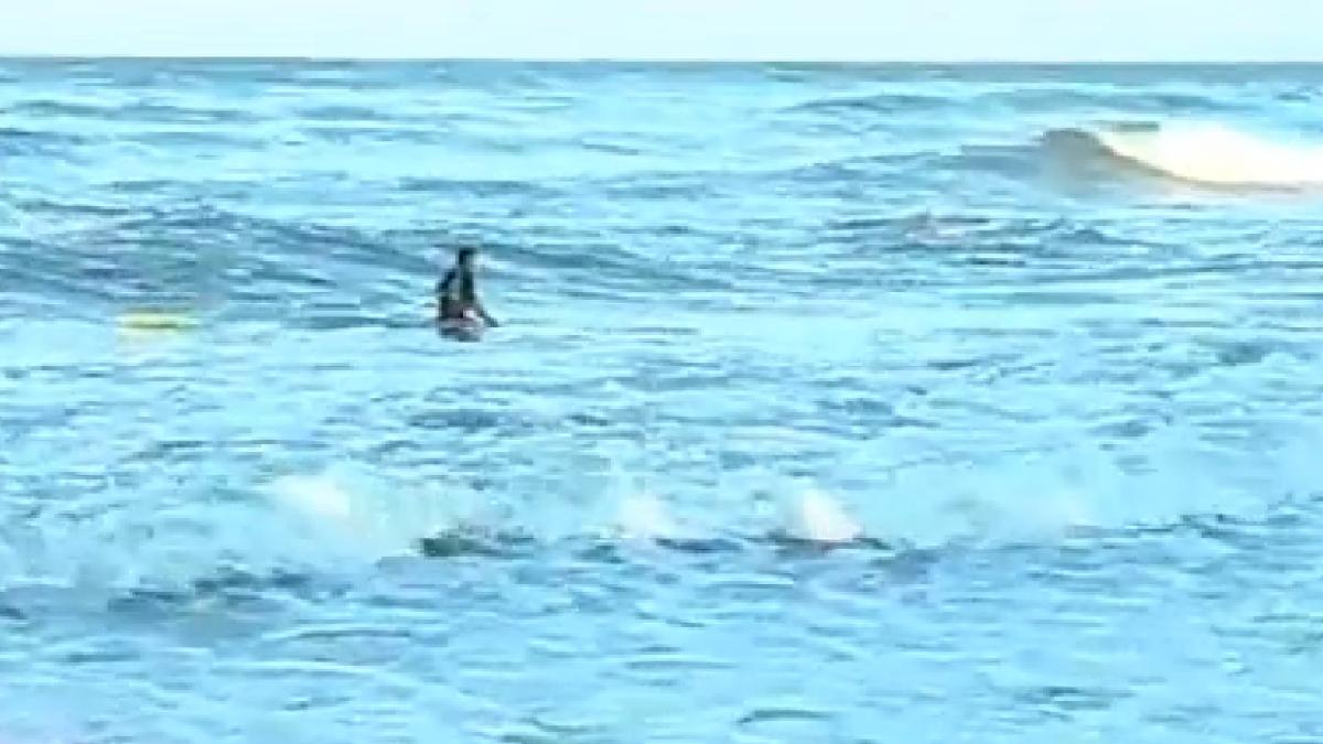 screen_shot_2014_08_19_at_3_45_38_pm_68519300