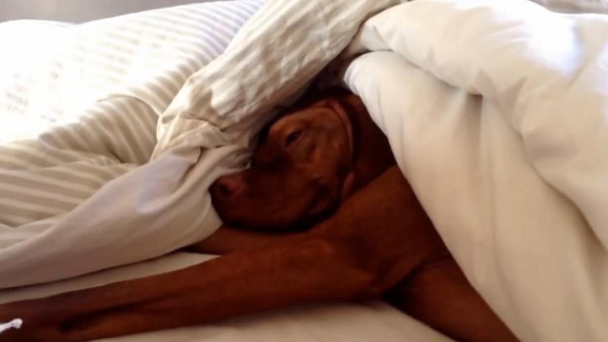 screen_shot_2014_08_22_at_12_59_45_pm_44571800