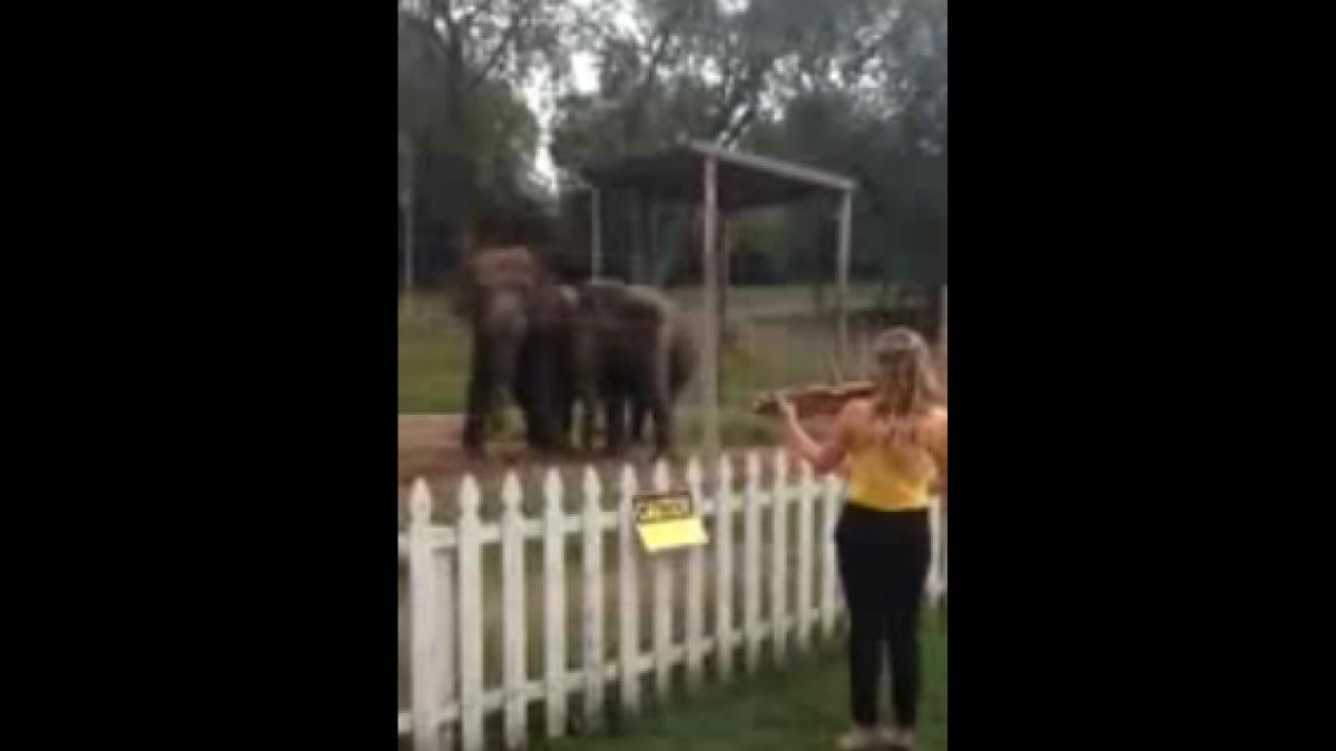 screen_shot_2014_08_27_at_1_44_35_pm_89861000