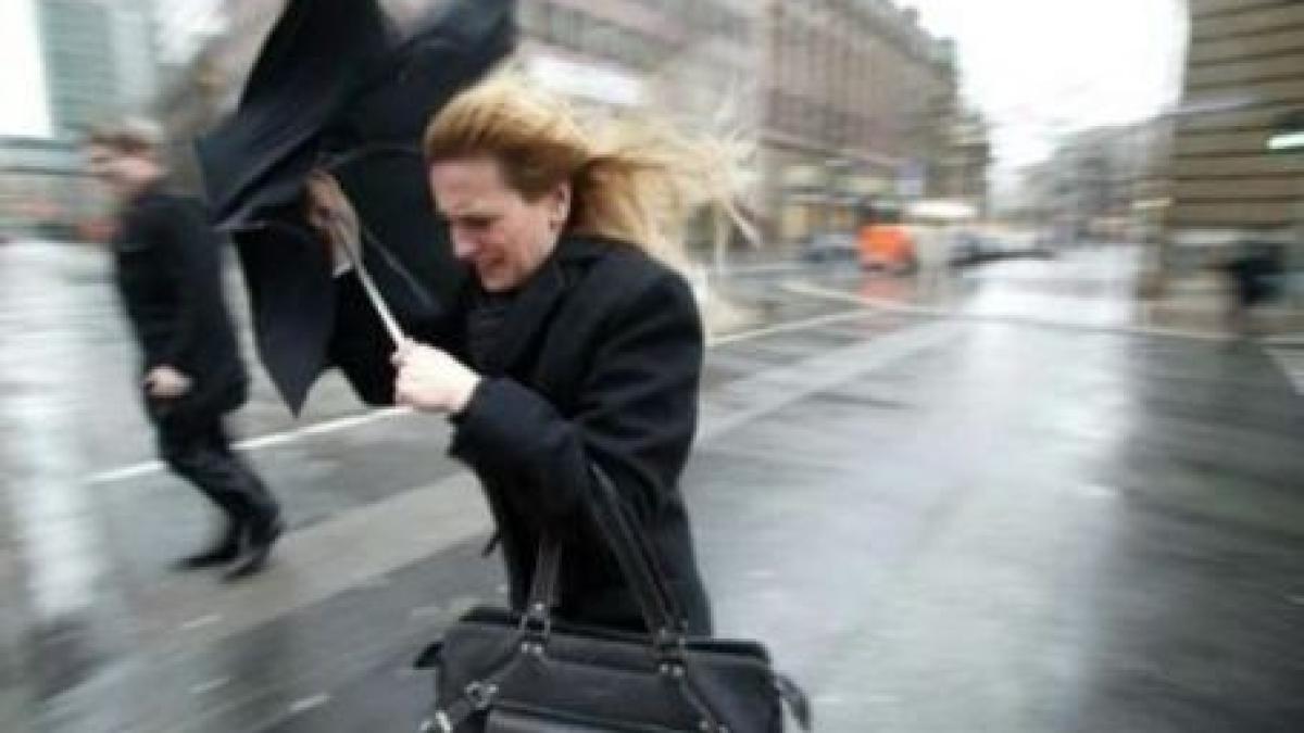 14020475292c27f2e7_44739100