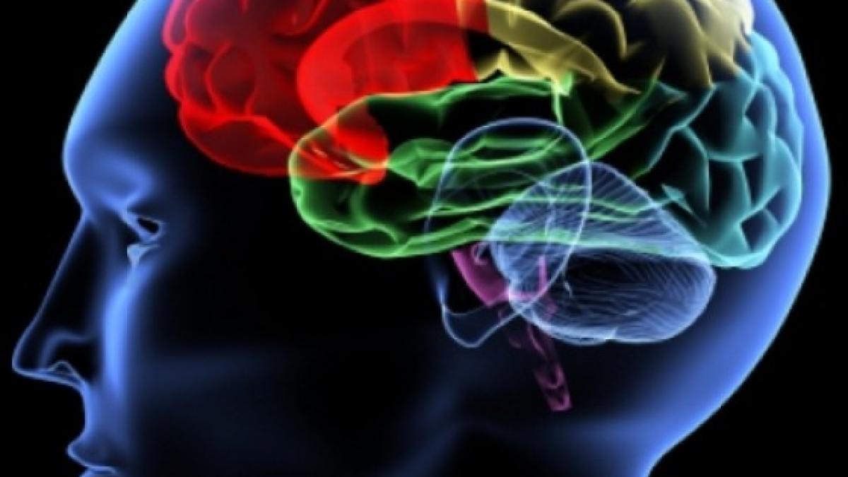 inteligenta_emotionala_01034600