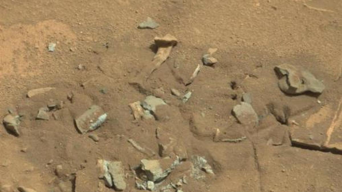 mister_marte_53739400