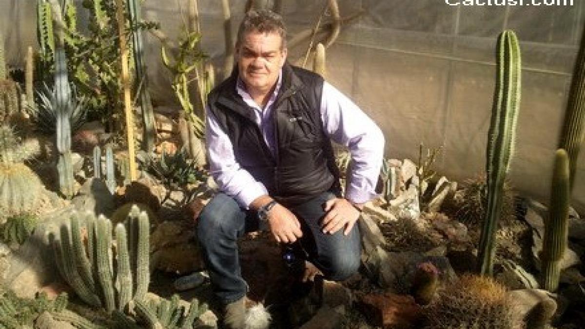 basarab_basarab_popa_13496400