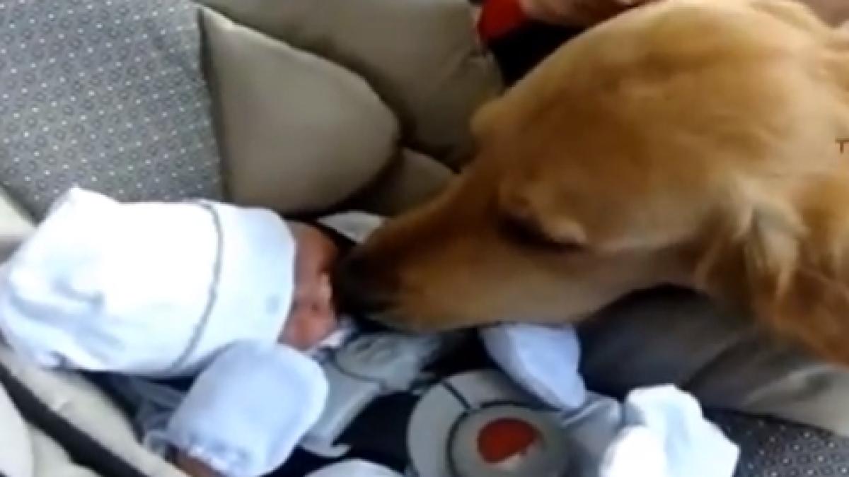 screen_shot_2014_09_13_at_1_40_11_pm_39953200