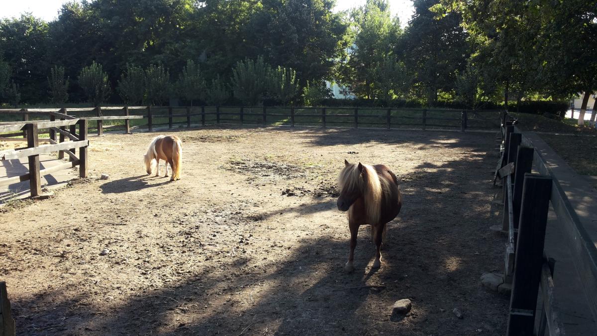 20140829_090055_61651400