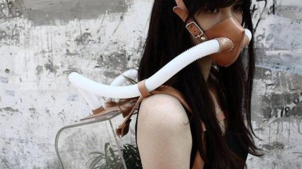 01_make_their_own_rules_99461500