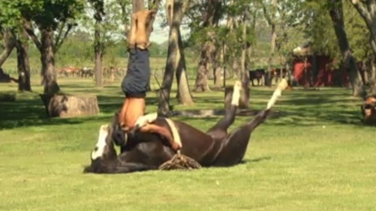 cal_comunicare_44980200