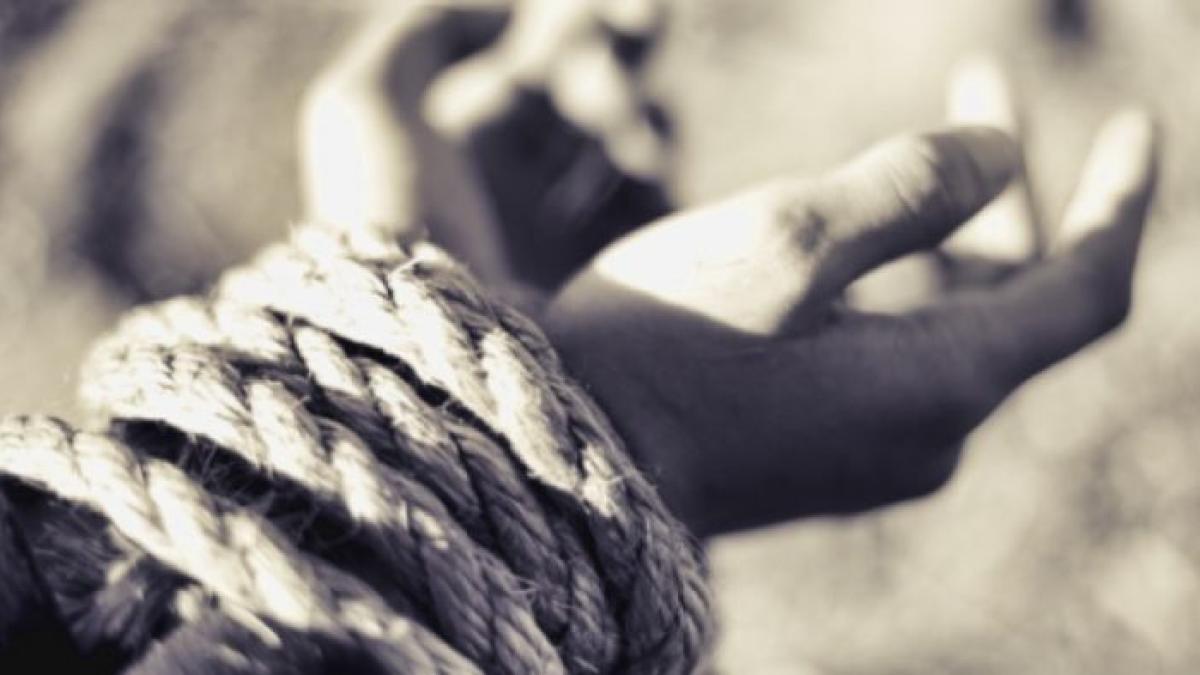 rapireostatic_1366797568_66862900