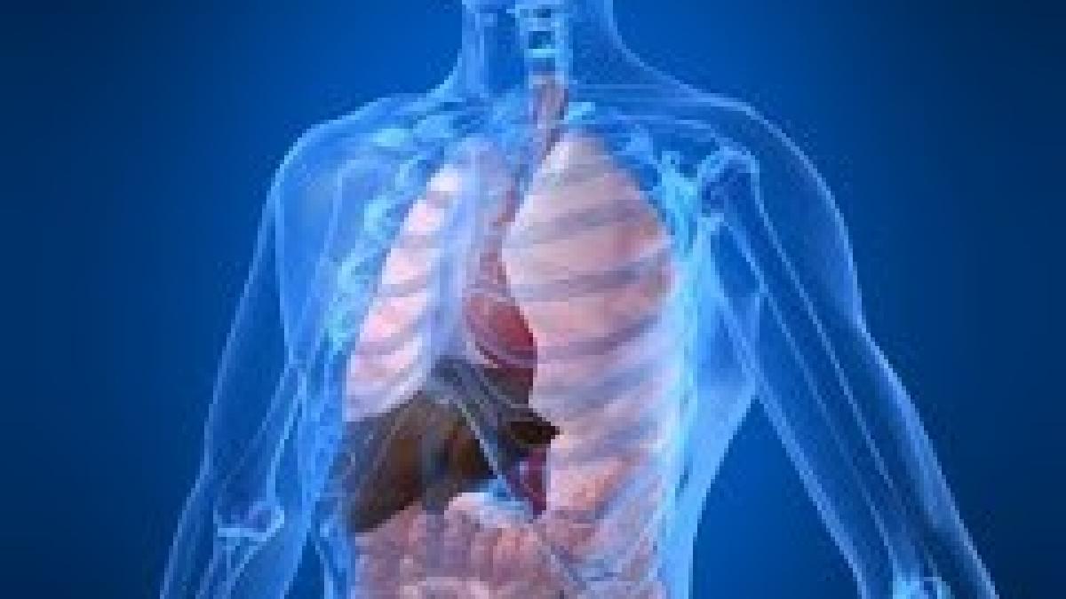 corpul_uman_80718200