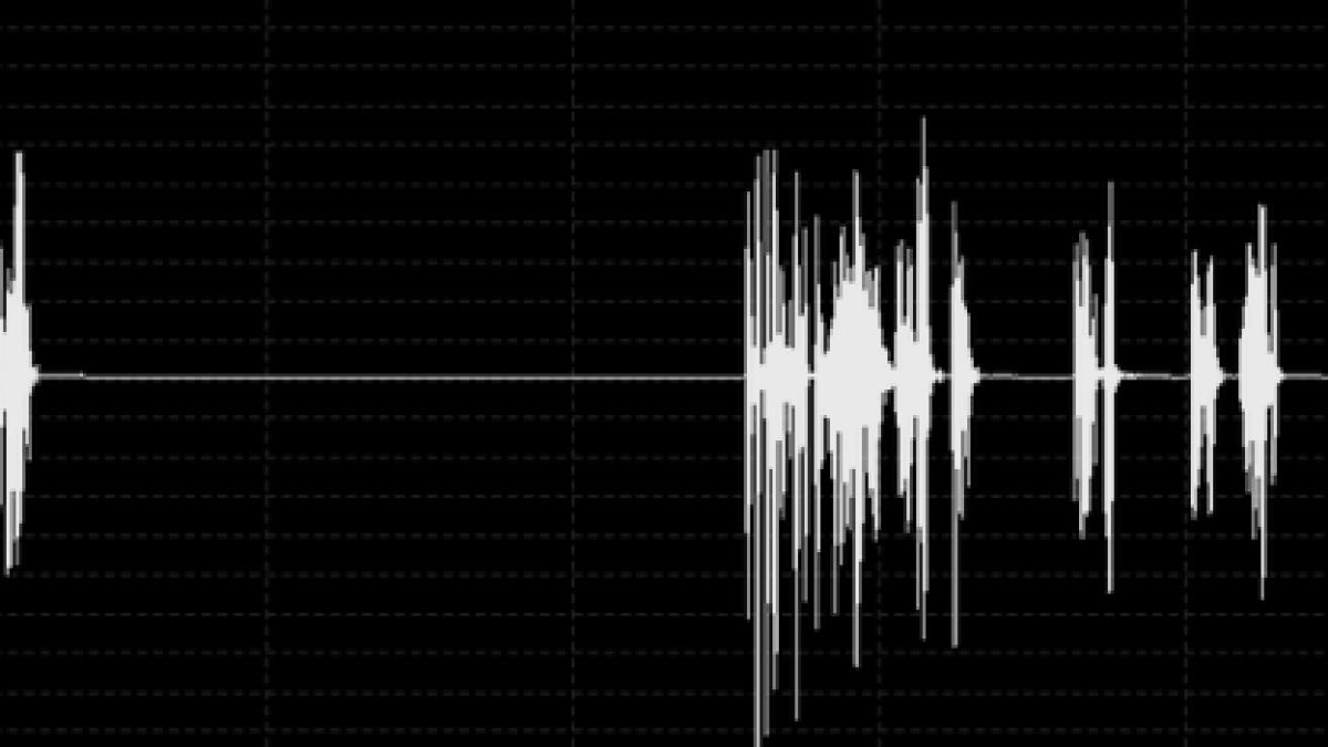 screen_shot_2014_09_27_at_5_03_51_pm_44339900