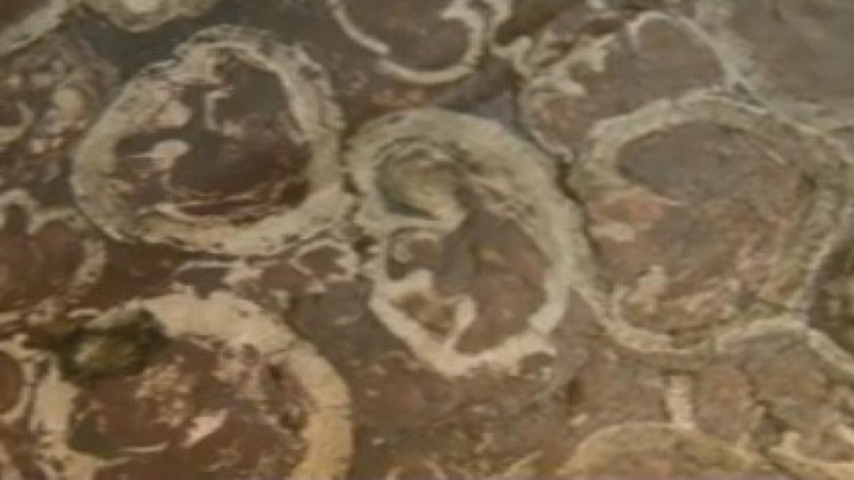 placi_metrou_politehnica_90663300